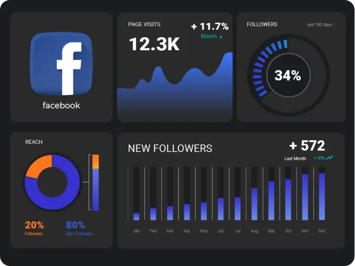 Social Media Auditing